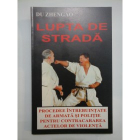 LUPTA  DE  STRADA  -  DU  ZHENGAO 
